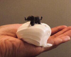 ムースウォッシュの画像 象
